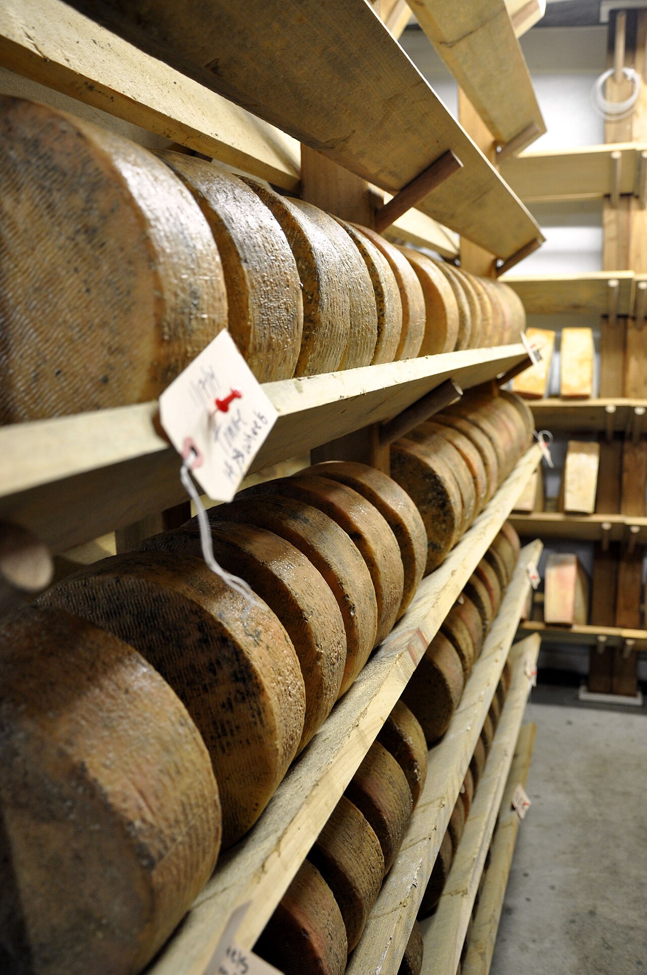 Cheese wheels aging on wooden shelves in a cave
